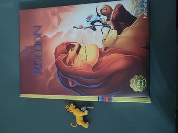 Livre disney le roi lion
