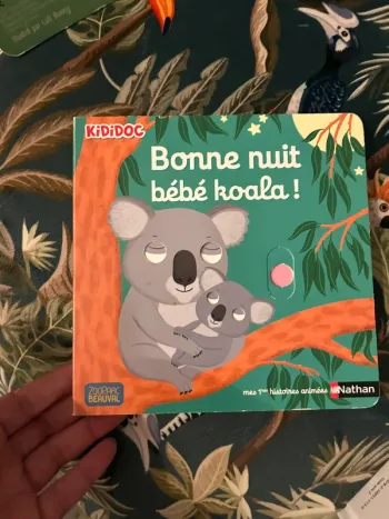 Bonne nuit bébé koala kididoc
