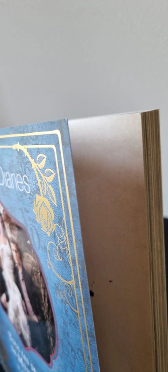 The Vampire Diaries - Tous Les Secrets De Mystic Falls, Le Journal De La Série - photo numéro 3