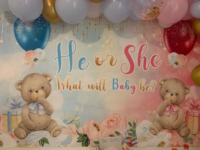 Toile gender reveal
