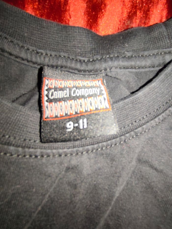 T-shirt Camel Compagnie - photo numéro 3