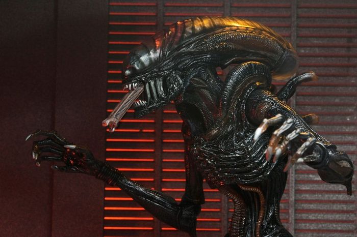 ALIEN ROMULUS - Scorched Xenomorph - Ultimate Figurine 18cm - photo numéro 6