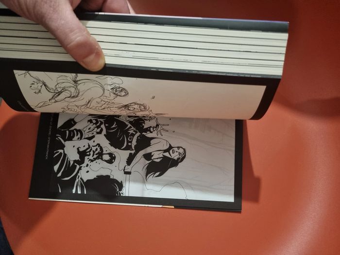 Bd Silver Glénat comics S. Franck Le trésor des vampires - photo numéro 4