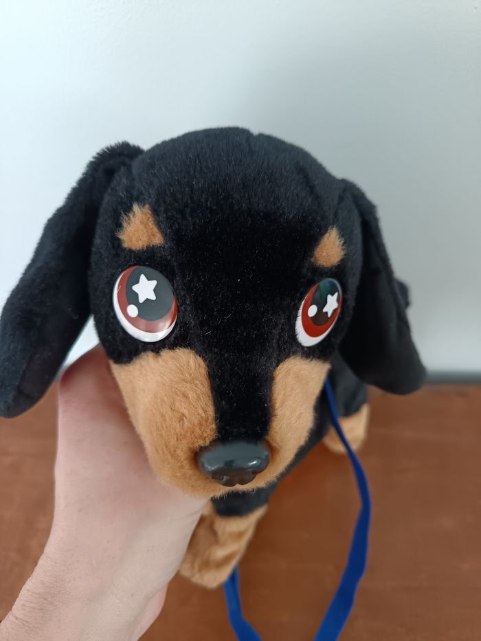 Waggles en balade Animagic-Chien - photo numéro 9