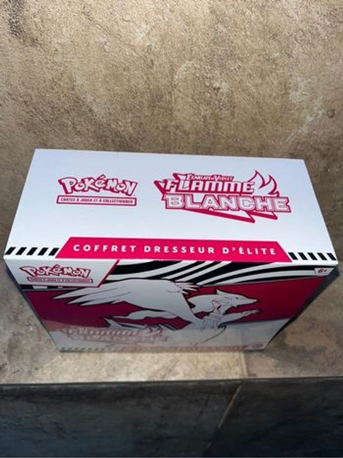 Etb ev 10.5 flamme blanche - photo numéro 3