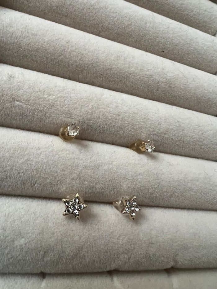 Puces d’oreilles - photo numéro 2
