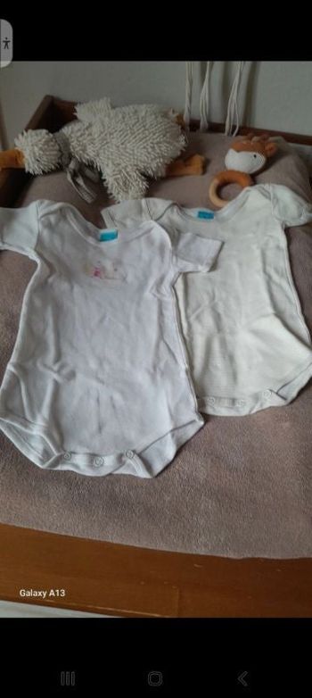 Lot bodies 12 mois