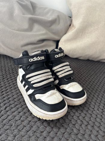 Baskets adidas montantes 25