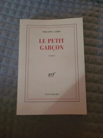 Le petit garçon