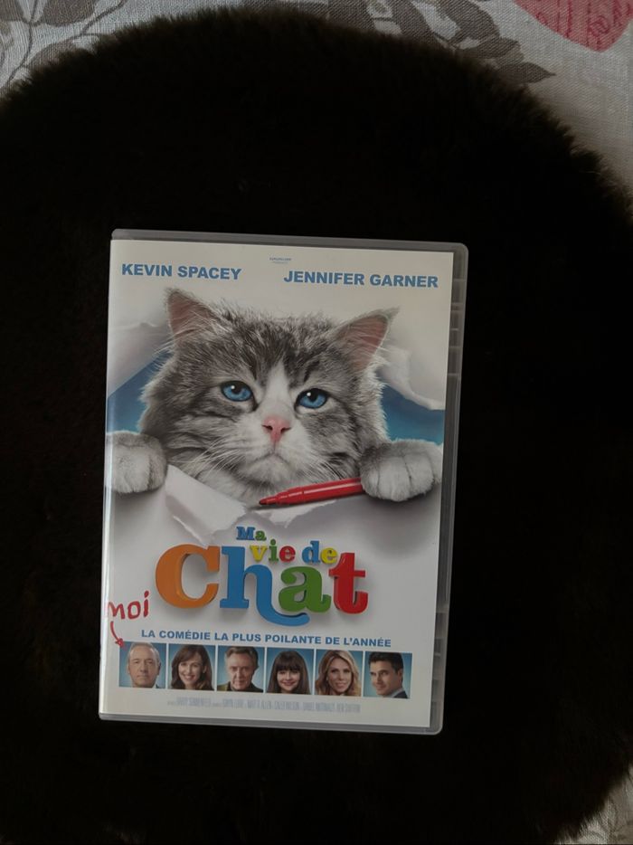 Ma vie de chat