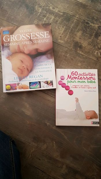 Lot de livre de grossesse et activités montessori