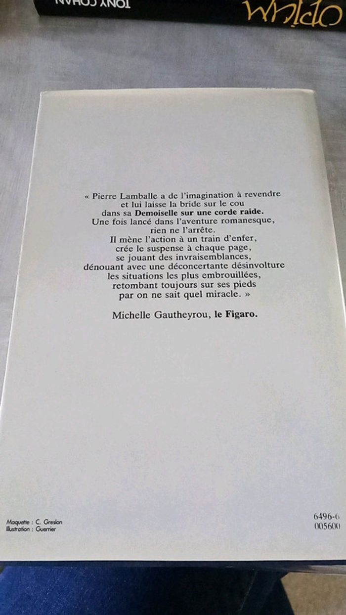 Une demoiselle sur une corde raide - photo numéro 3