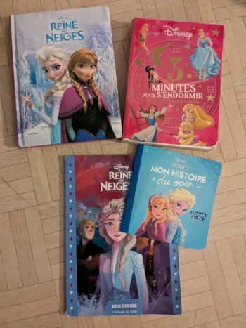 Lot livres Disney