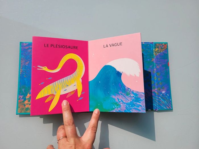 Superbe livre accordéon Amaterra 🪸 Sous la Mer 🐡 - photo numéro 11