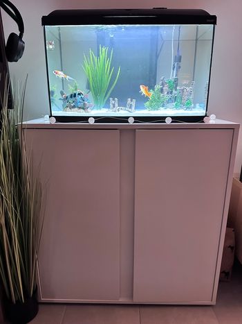 Meuble + aquarium
