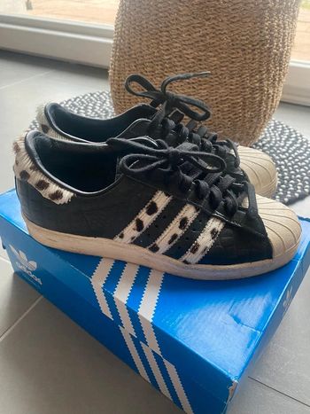 Basket Adidas Superstar Animal pointure 36