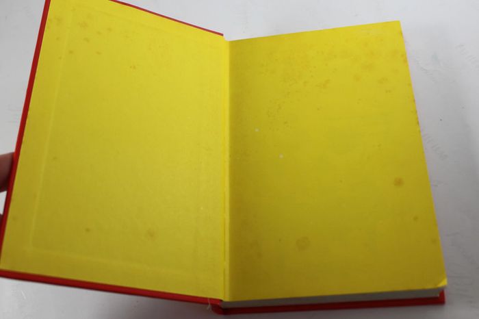 Walt Disney Castors Juniors Le manuel de Géo Trouvetou 1974 - photo numéro 4