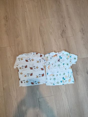 Lot 2 t shirt 3-4 ans
