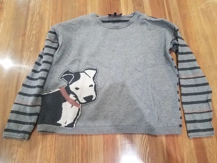 Pull avec chien
