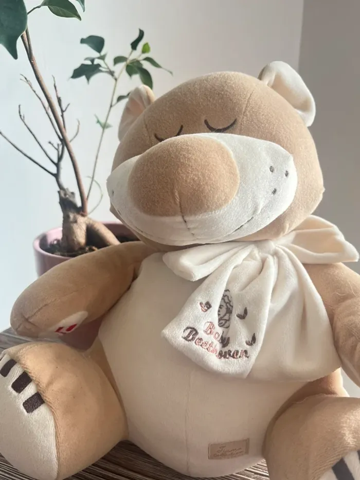 Peluche nounours - photo numéro 2
