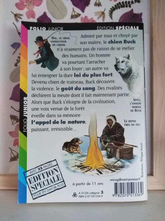 Livre l'appel de la forêt de Jack london - photo numéro 2