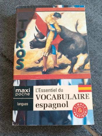L'essentiel du vocabulaire espagnol