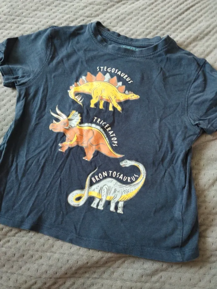 Tee shirt dinosaures - photo numéro 2