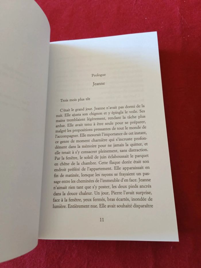 Il nous restera que ça " Virginie Grimaldi " Fayard - photo numéro 8