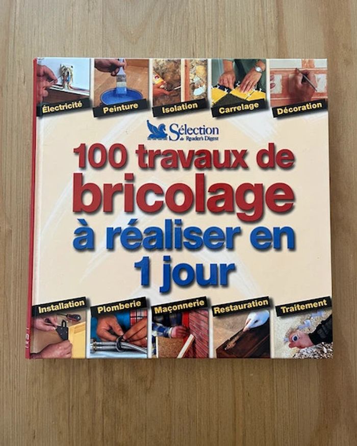 Livre 100 travaux de bricolage à réaliser en 1 jour