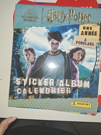 Panini harry potter
