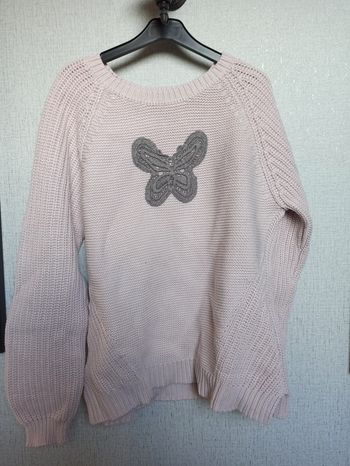 Pull papillon