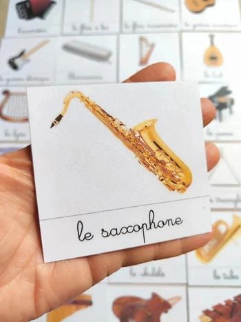 33 cartes de nomenclature des instruments de musique