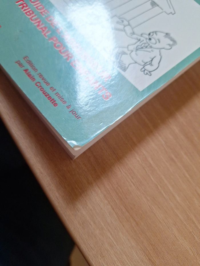 Livre juger les jeunes - photo numéro 10