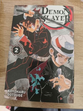 Demon slayer tome 2