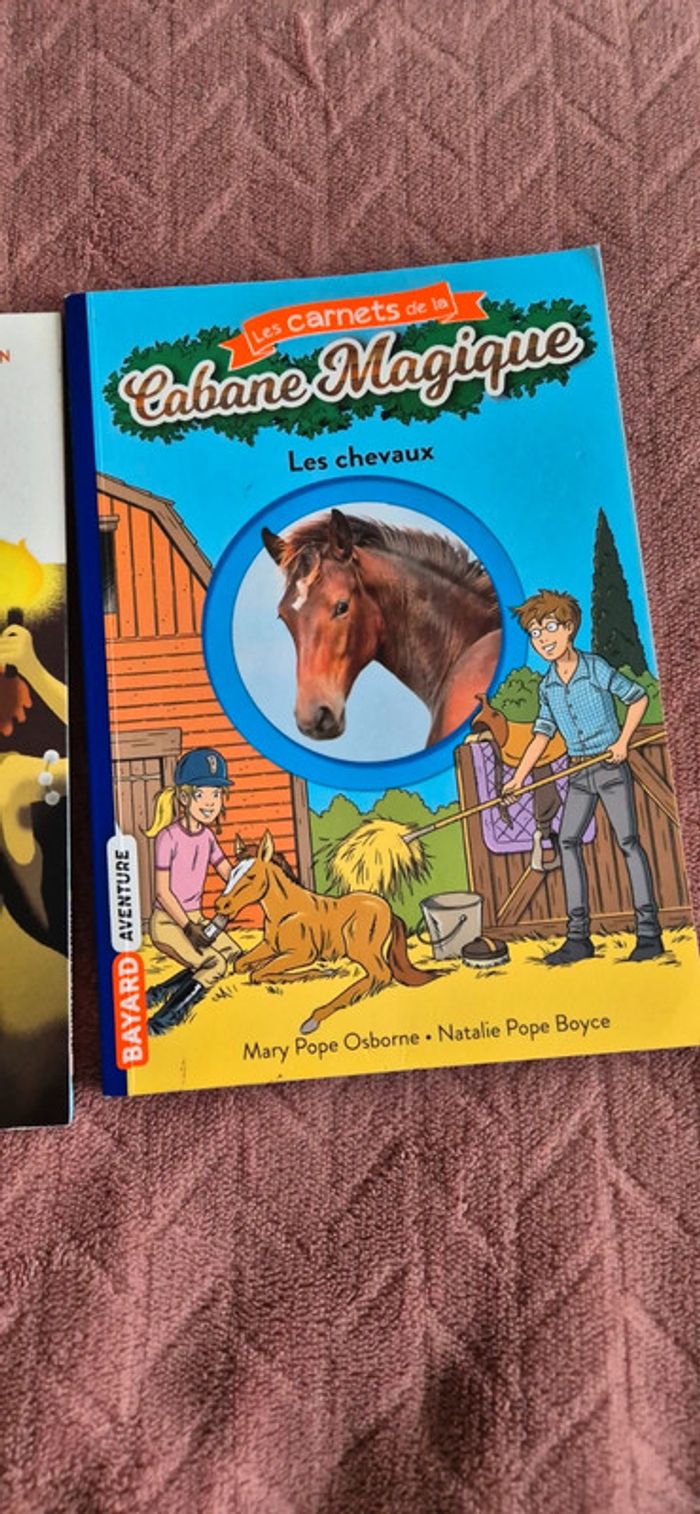 Lot livres chevaux - photo numéro 2
