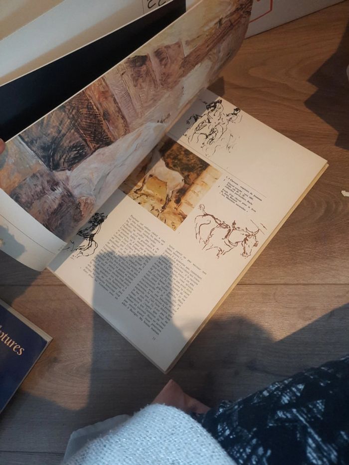 Livre art les impressionniste p j - photo numéro 8