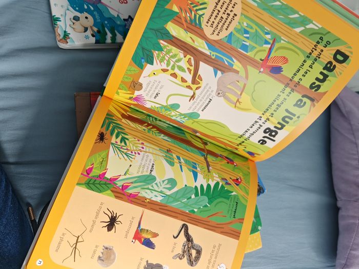 Dokeo des animaux - photo numéro 3