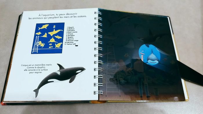 📕 Livre mes premières découvertes : Une nuit au musée Lampe magique - photo numéro 5