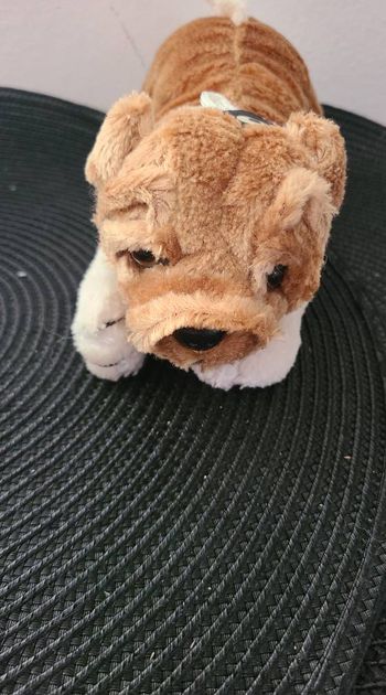 Peluche chien Doudou Sandy