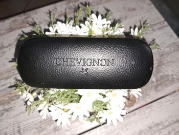 Boîte à lunettes chevignon