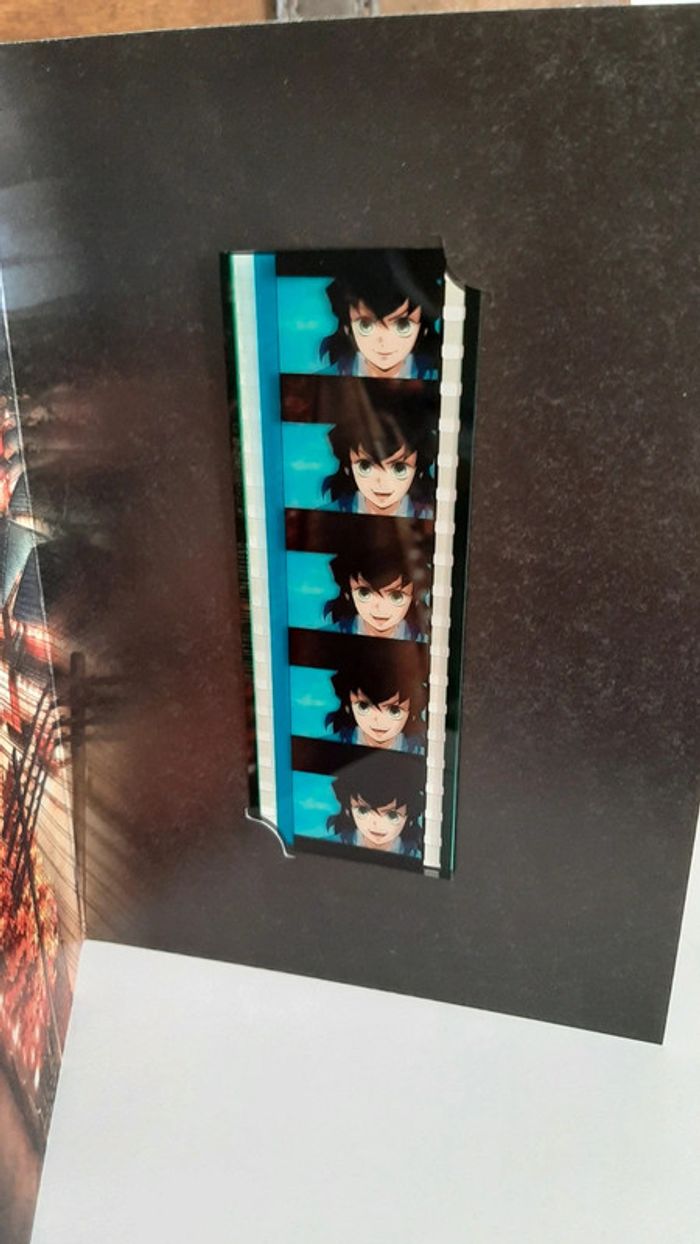 Pellicule Demon Slayer Yuichiro manga - photo numéro 2