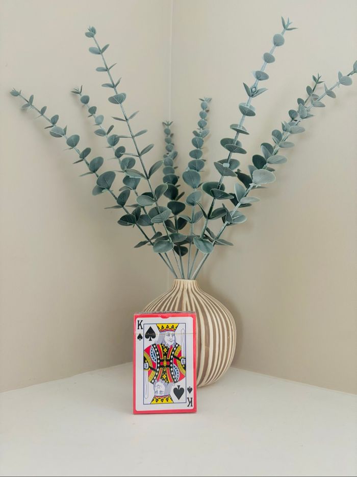 Jeu de cartes neuf sous blister