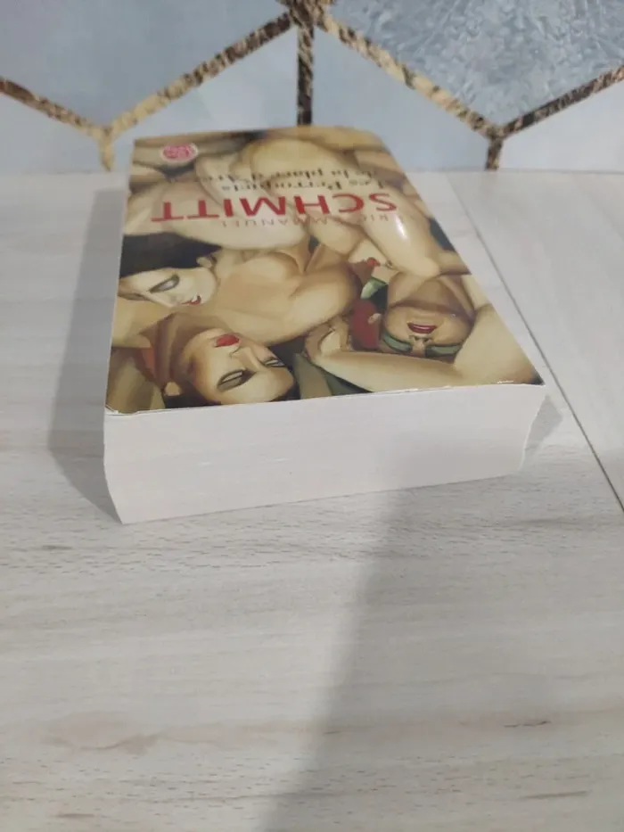 Livre poche les perroquets de la place Arezzo Schmitt - photo numéro 4