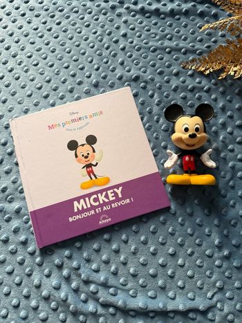livre Disney + Figurine 