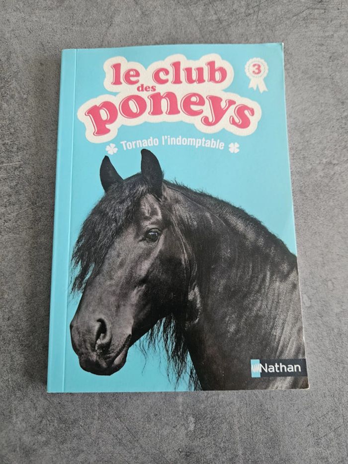 Livre jeunesse "Le club des poneys" Tome 3 "Tornado l'indomptable"
