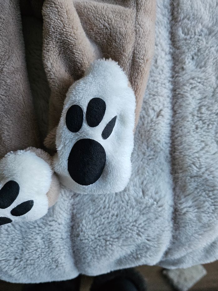 Combipilote - photo numéro 4