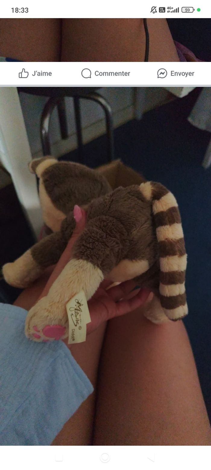Peluche milimits - photo numéro 2
