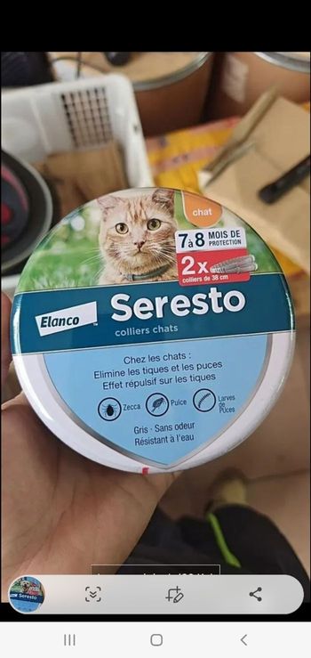 Colier seresto neuf chien chat