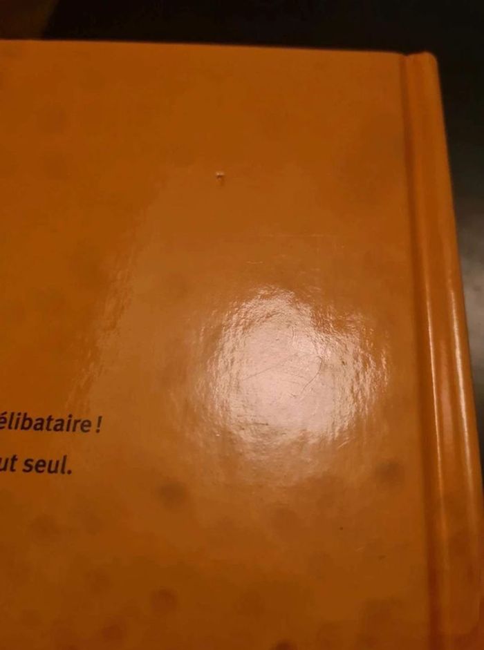 Bd les colocataires dédicacé - photo numéro 6