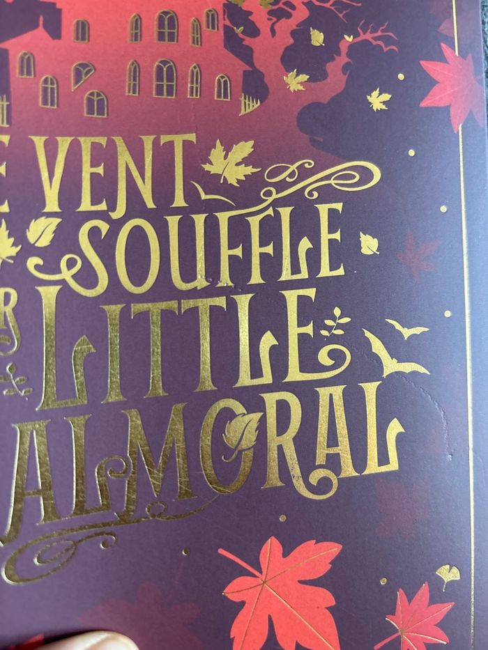 Le vent souffle sur Little Balmoral - photo numéro 6